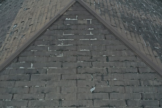 真横からの撮影